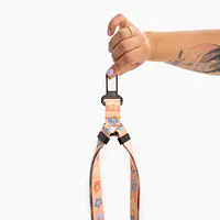 Pas samochodowy dla 2 psów  - Master