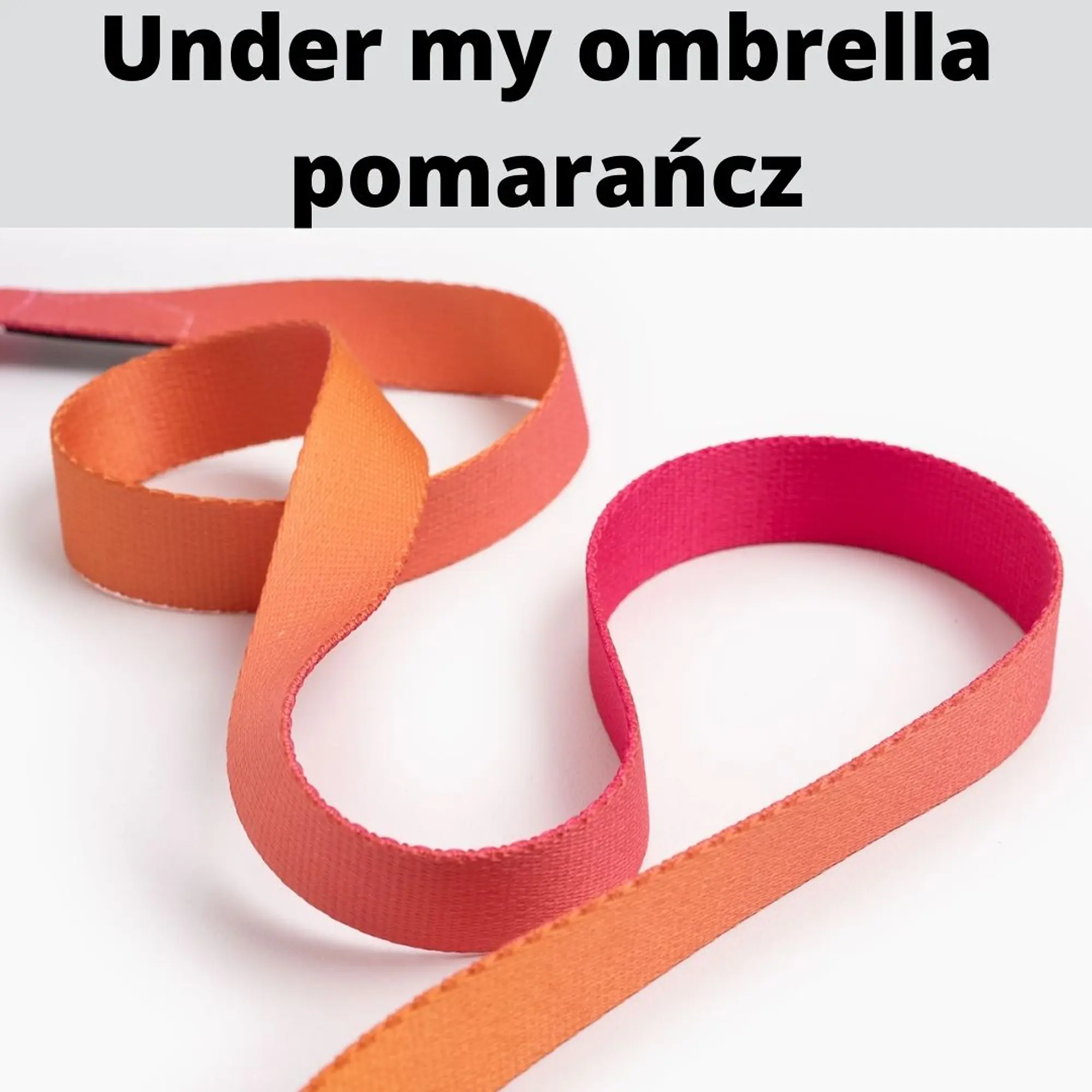 Pas samochodowy dla 2 psów  - Master