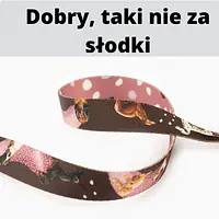 Pas samochodowy dla 2 psów  - Master