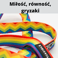 Pas samochodowy dla 2 psów  - Master