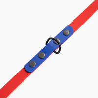 "Red with Indigo" Biothane® leash - Master