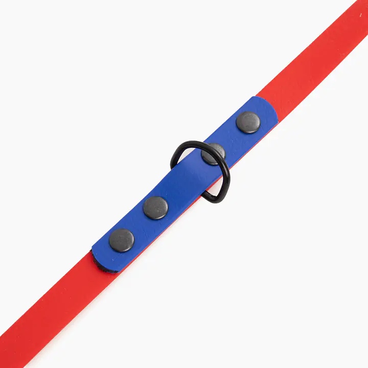 "Red with Indigo" Biothane® leash - Master