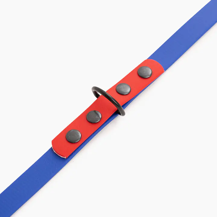 Smycz przepinana Biothane® dla psa lub kota "Indygo with Red" - Master