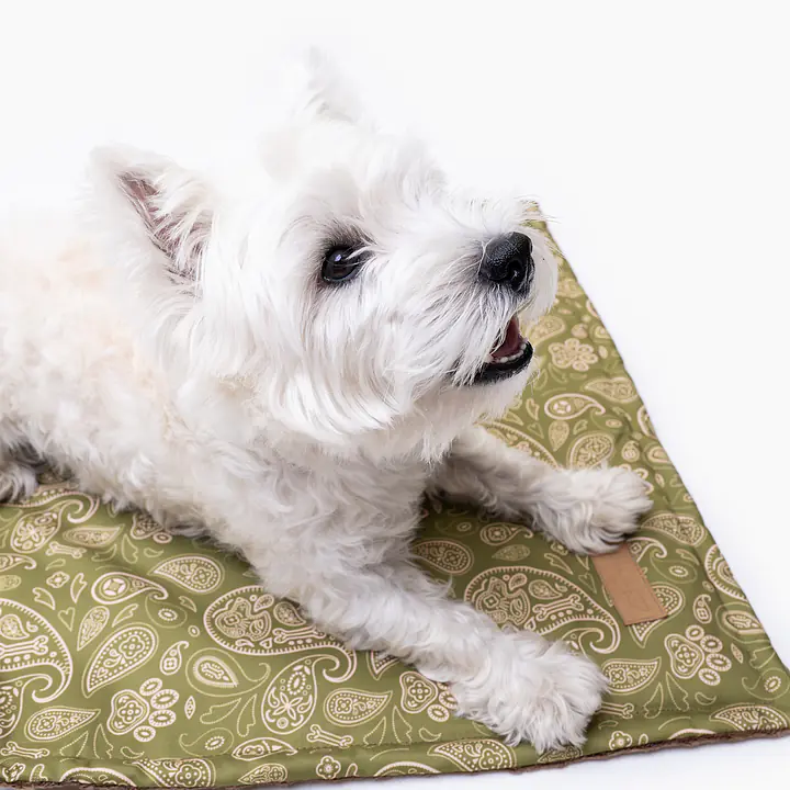 Double sided mat for dog or cat - Master