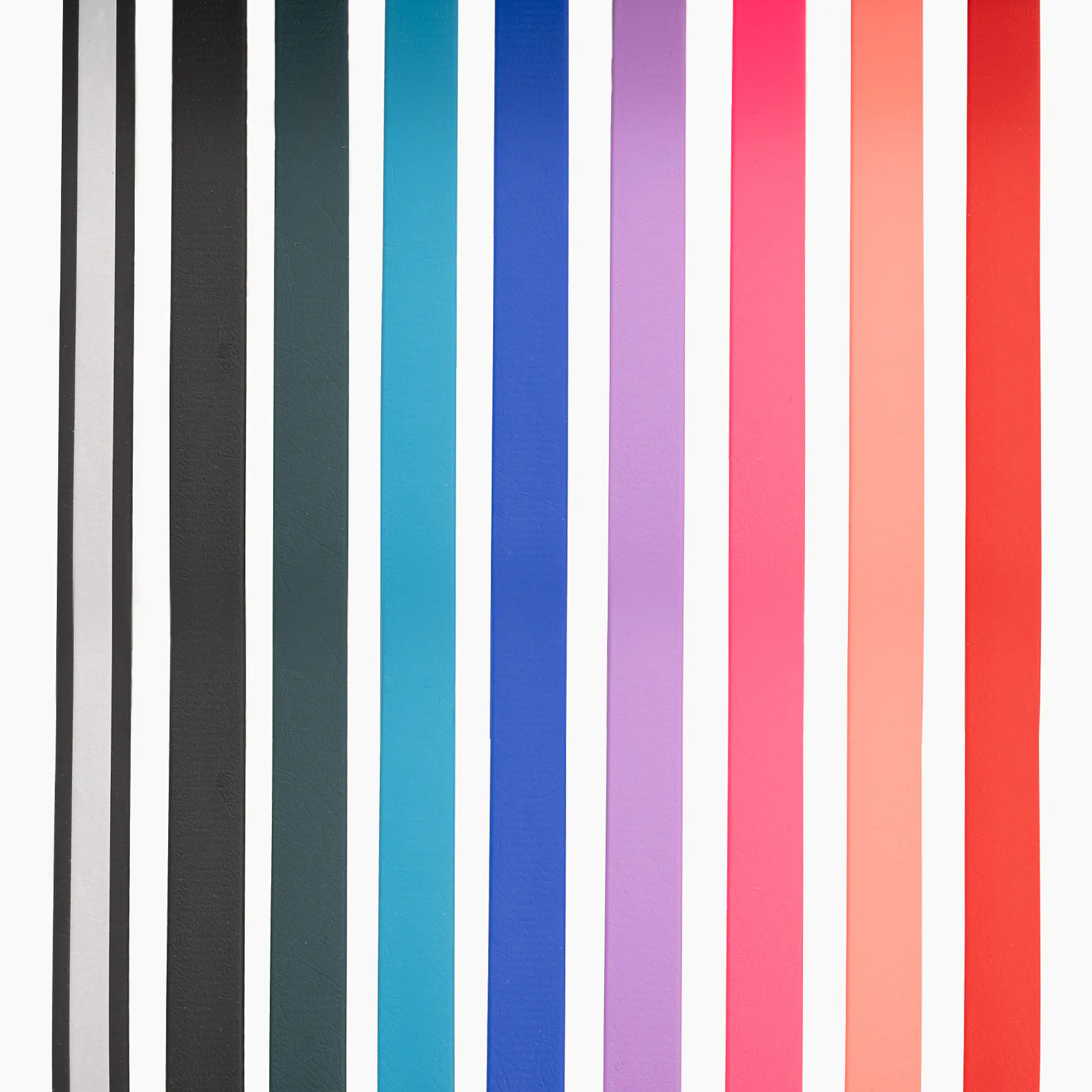 "Turquoise AF" Biothane® leash - Master