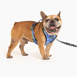 Pressures-free guard harness in size for bulldogs   - Master