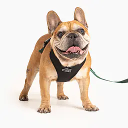 Pressures-free guard harness in size for bulldogs   - Master