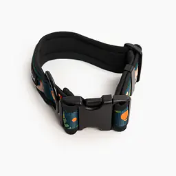 Obroża z klamrą SUPER SOFT "Psikolaż" - Master