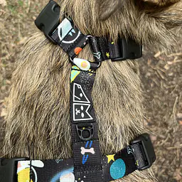 Stay-on guard harness "I need space" - Master