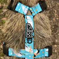 Stay-on guard harness "What does the seal say?" - Master