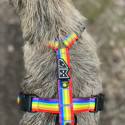 Stay-on guard harness "Love, equality, teethers" - Master