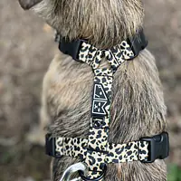 Szelki guard Stay on "Pan tera mi kupi" panterką do góry - Master