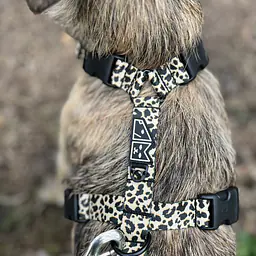 Stay-on guard harness "Respect the wildness" with leopard pattern on the top - Master