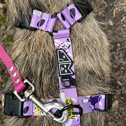 Szelki guard Stay on "Pieski floreski" - Master