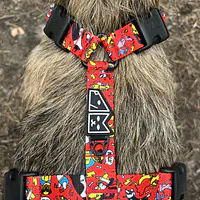 Szelki guard Stay on "Pies, ktory lata najlepsze ma za sobą" - Master