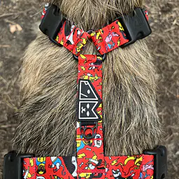 Stay-on guard harness "Woof for the better world" - Master