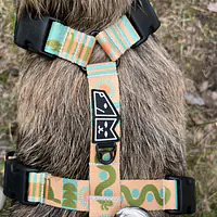 Stay-on guard harness "Sausage dog" - Master