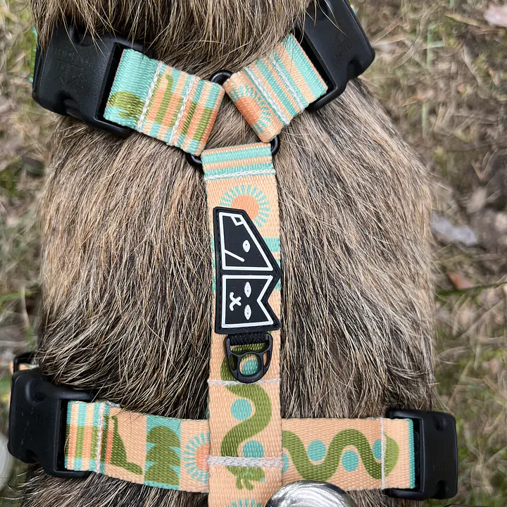 Stay-on guard harness "Sausage dog" - Master