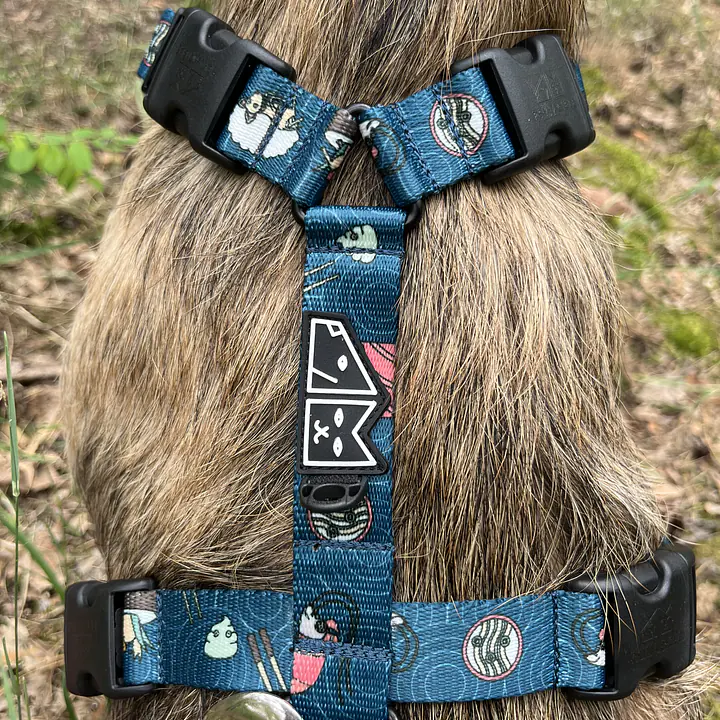 Stay-on guard harness "Doggomaki" - Master