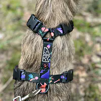 Stay-on guard harness "Psychedelic" - Master
