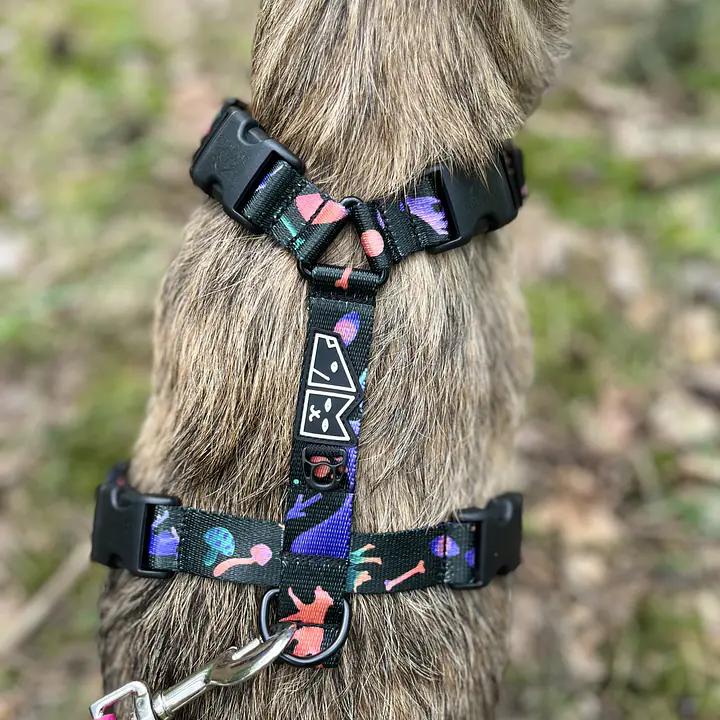 Stay-on guard harness "Psychedelic" - Master