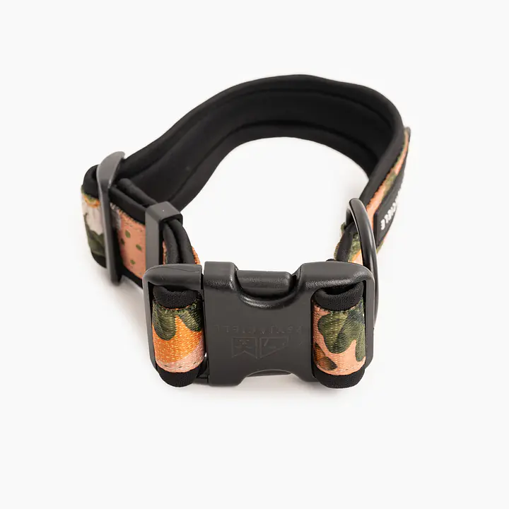 SUPER SOFT dog collar "Play with my nuts" - Master