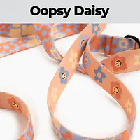 Hands free leash - Master