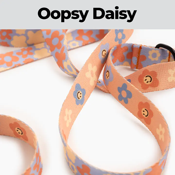 Smycz hands free - Master