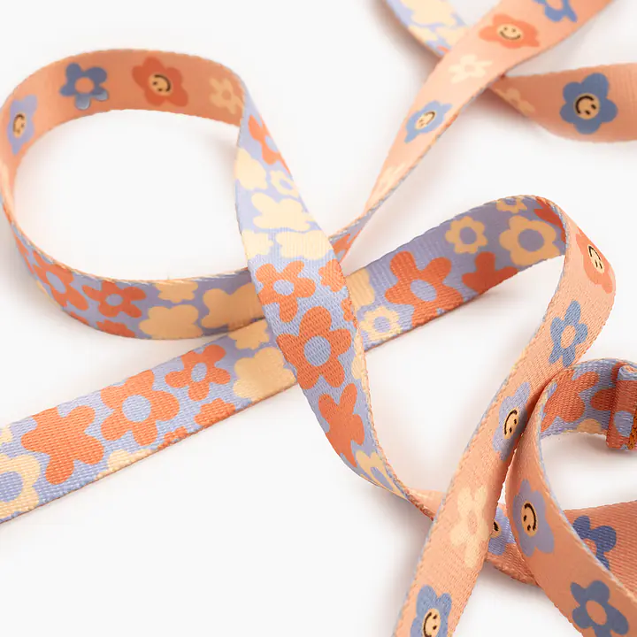 Smycz przepinana z amortyzatorem dla psa lub kota "Oopsy Daisy" - Master