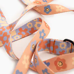 Smycz przepinana z amortyzatorem dla psa lub kota "Oopsy Daisy" - Master