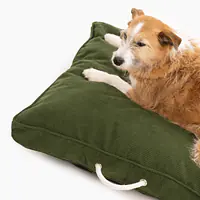 Cushion "Rachel Green" - Master