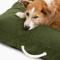 Cushion "Rachel Green" - Master