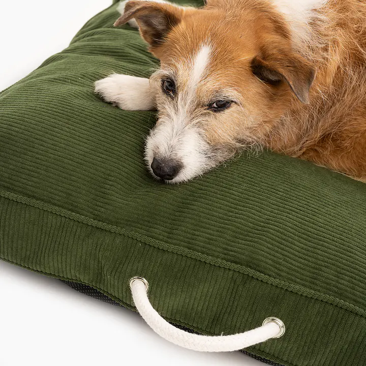 Cushion "Rachel Green" - Master