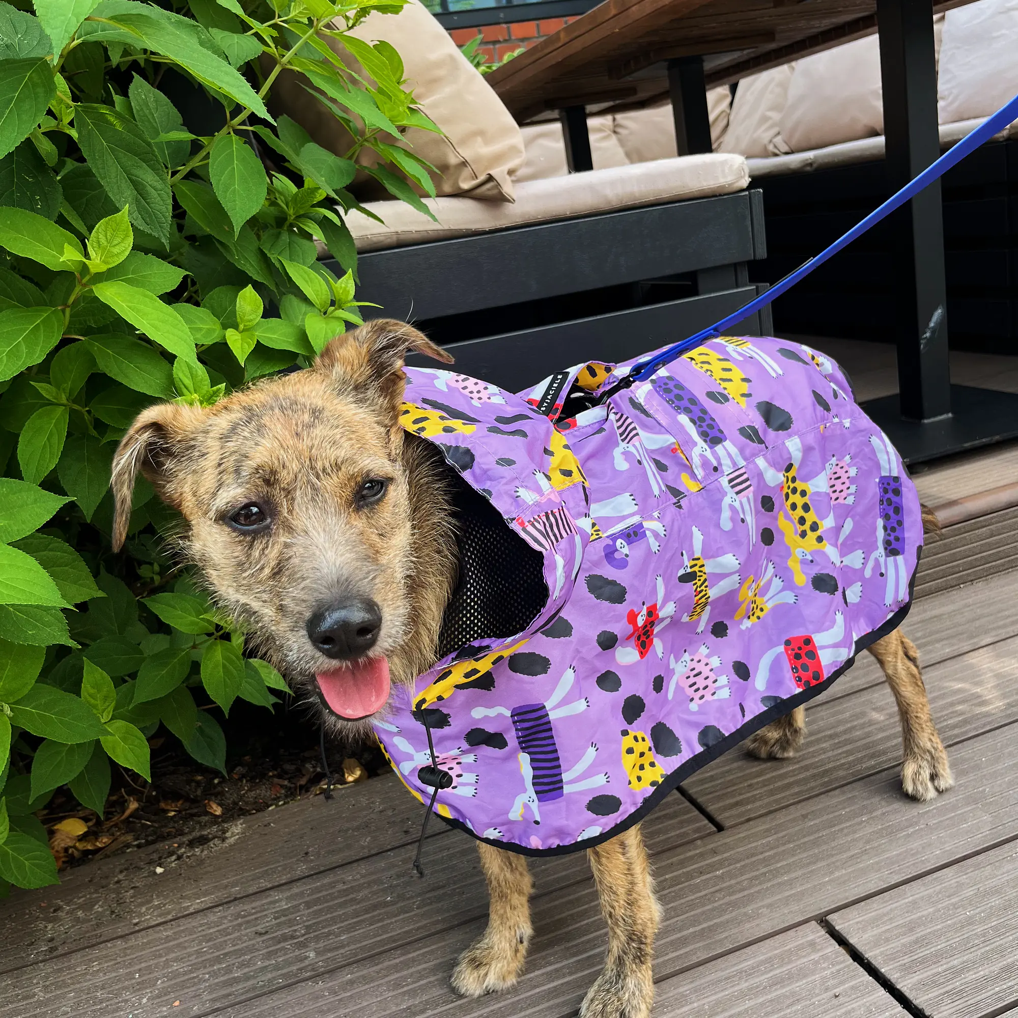 Raincoat for dog "Doggo in sheep's clothing" - Master