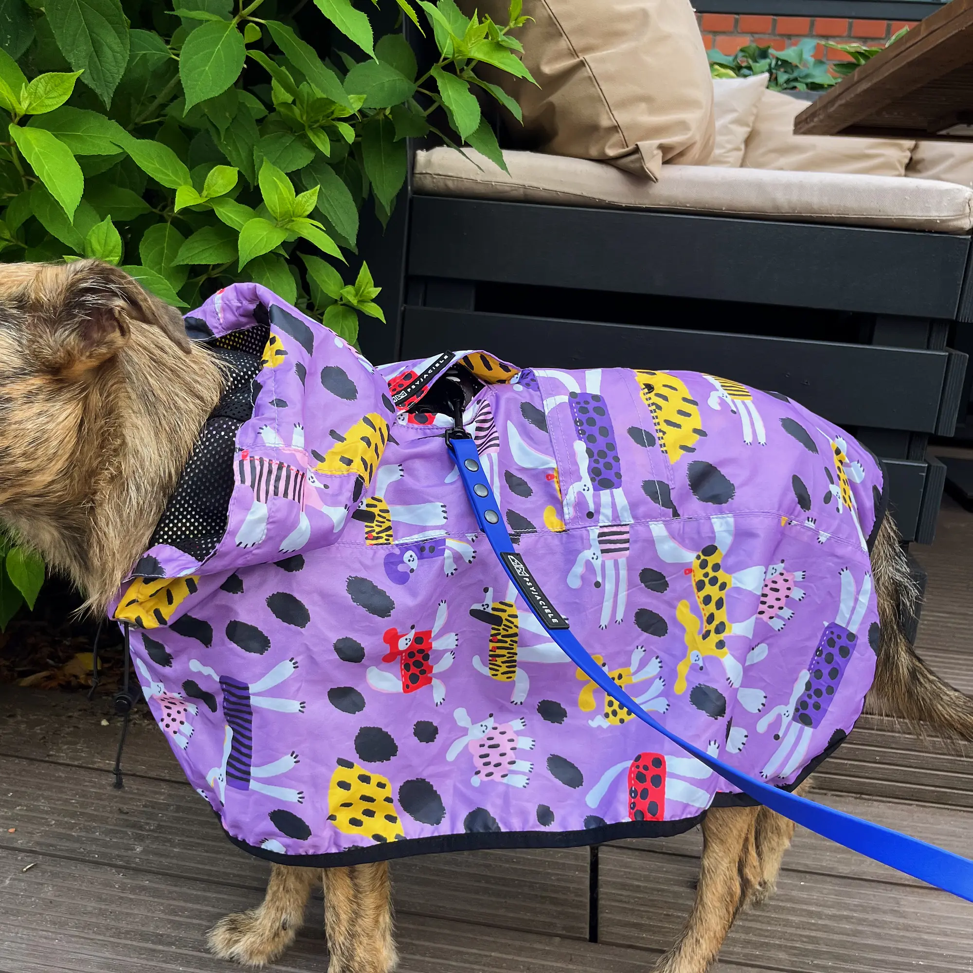 Raincoat for dog "Doggo in sheep's clothing" - Master
