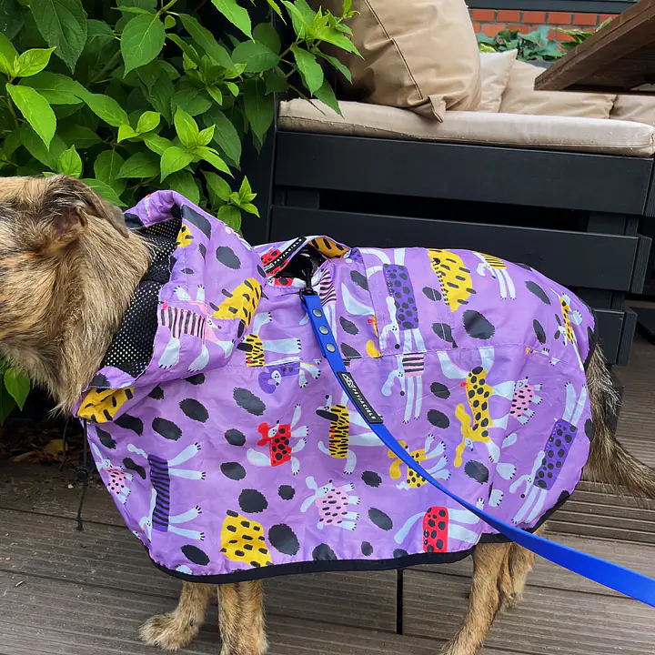 Raincoat for dog "Doggo in sheep's clothing" - Master