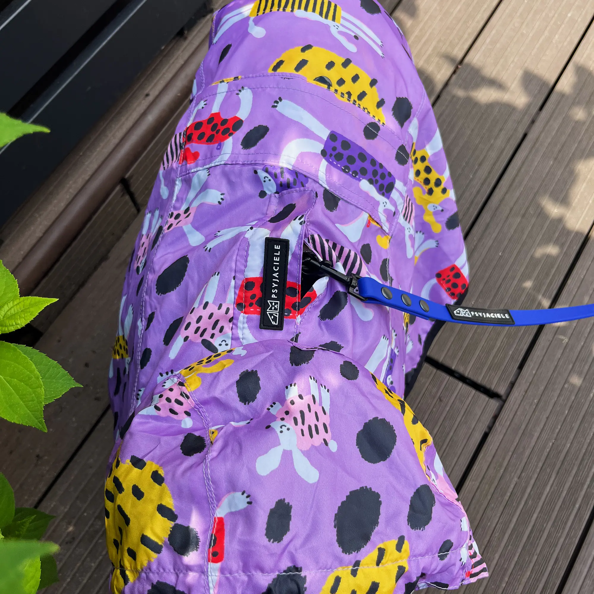 Raincoat for dog "Doggo in sheep's clothing" - Master