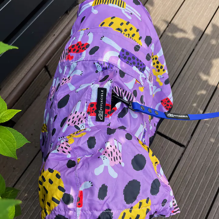 Raincoat for dog "Doggo in sheep's clothing" - Master