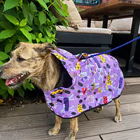 Raincoat for dog "Doggo in sheep's clothing" - Master
