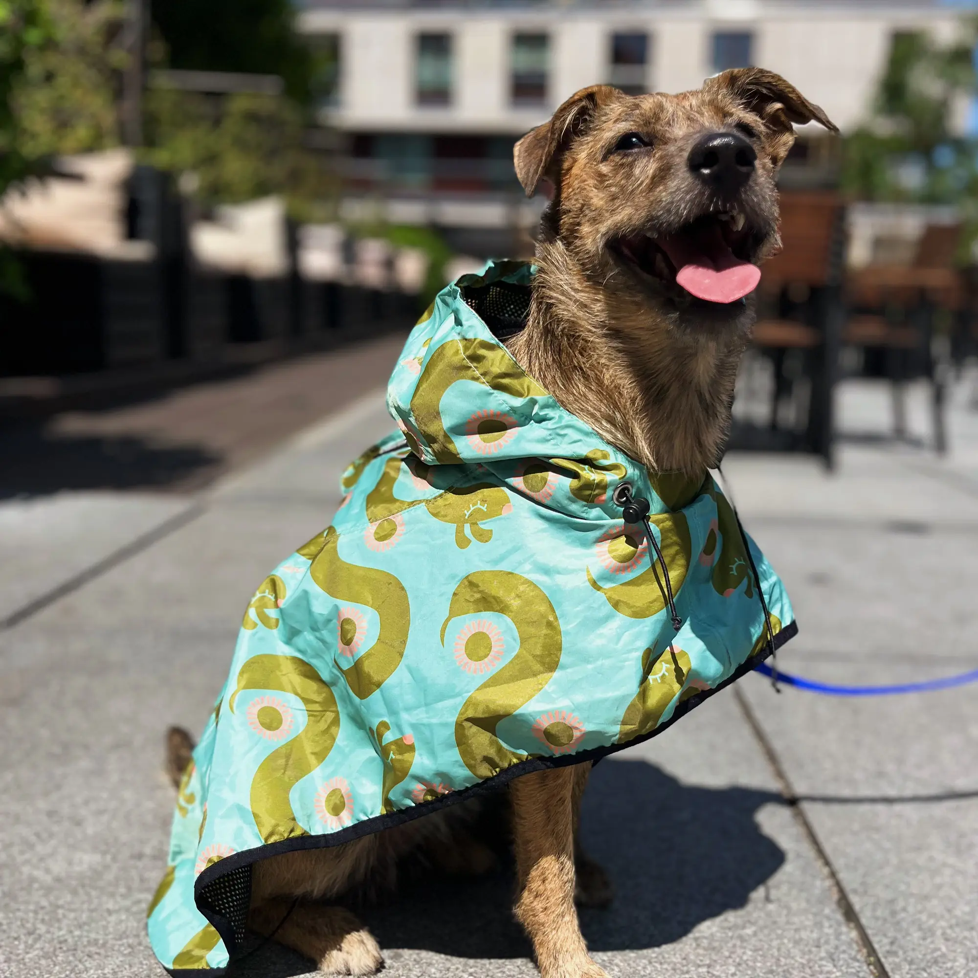 Raincoat for dog "Sausage dog" - Master