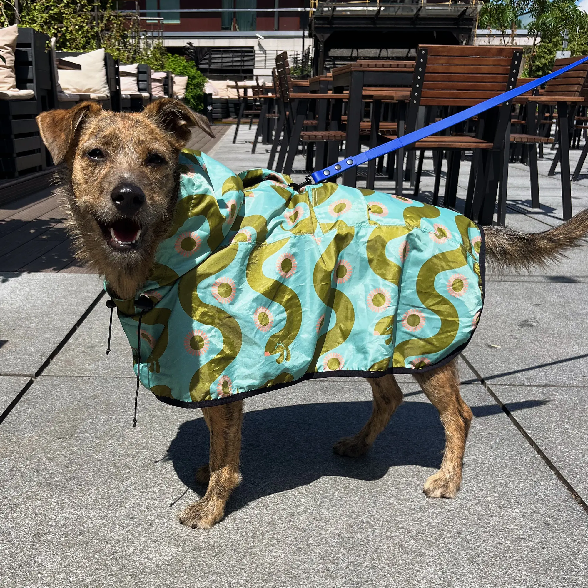 Raincoat for dog "Sausage dog" - Master