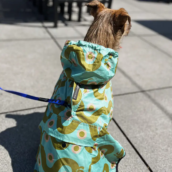 Raincoat for dog "Sausage dog" - Master