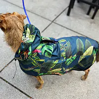 Raincoat for dog "Doggolage" - Master