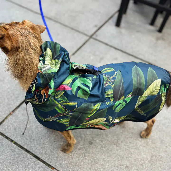 Raincoat for dog "Doggolage" - Master