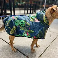 Raincoat for dog "Doggolage" - Master