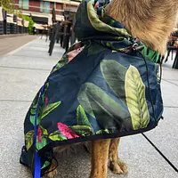 Raincoat for dog "Doggolage" - Master