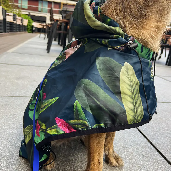 Raincoat for dog "Doggolage" - Master