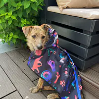 Raincoat for dog "Psychodelic" - Master