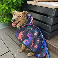 Raincoat for dog "Psychodelic" - Master