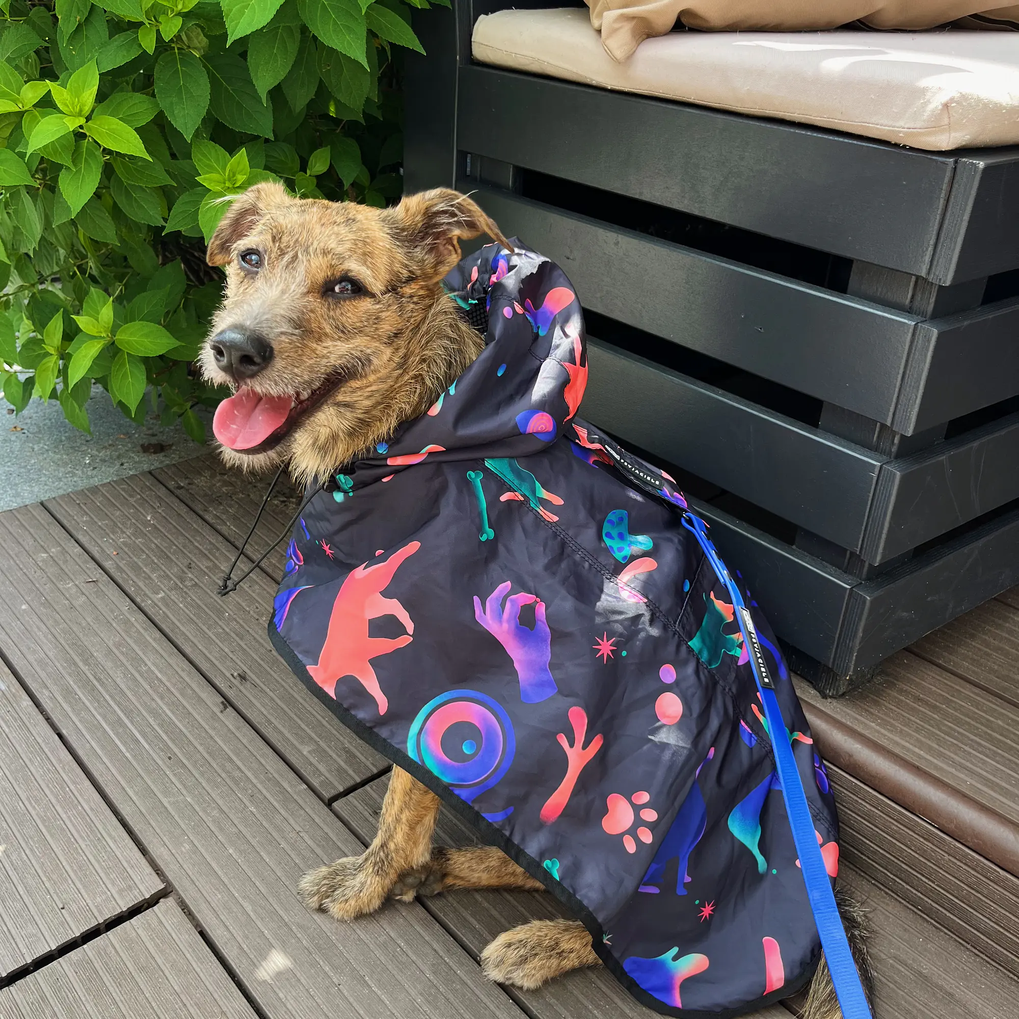 Raincoat for dog "Psychodelic" - Master